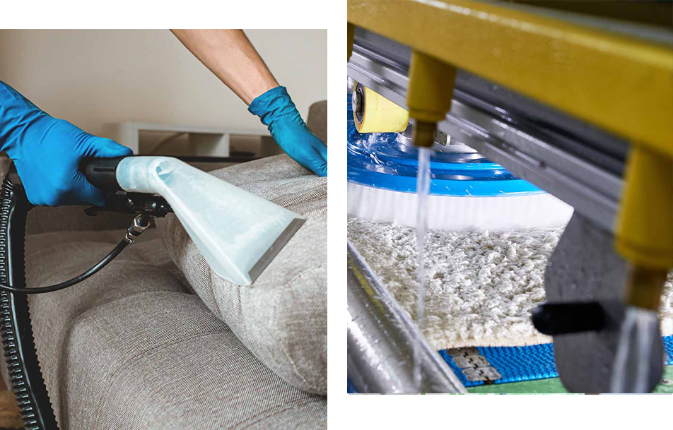 Papatya Halı Yıkama | Sivas Halı Yıkama | Sivas Halı Yıkama Firması